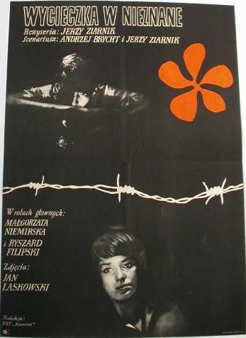 Polish Poster