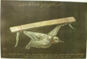 Polish Poster by Stasys (Eidrigevicius, Stasys)